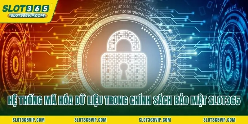 Hệ thống mã hóa dữ liệu trong chính sách bảo mật SLOT365